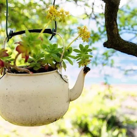 Molina * Faggeto Lario