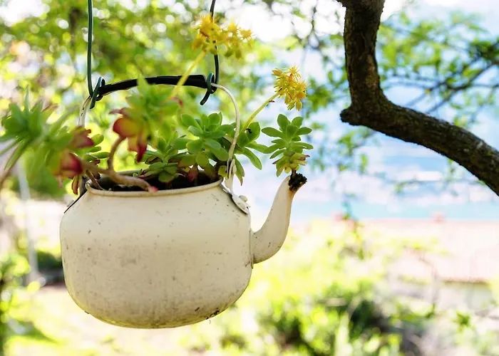 Molina * Faggeto Lario